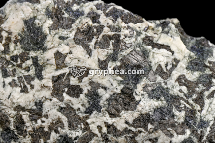 Gabbro - détail (Massif du Chenaillet, Alpes) - gryphea.com